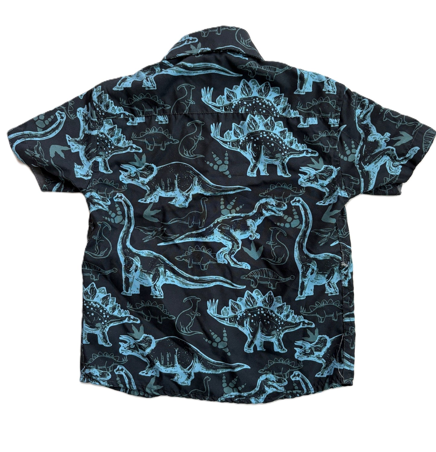 Craft & Flow Dino Shirt