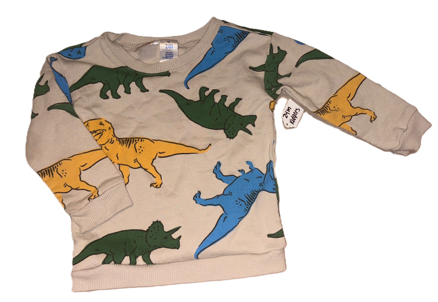 Kidgets Dino Sweatsuit
