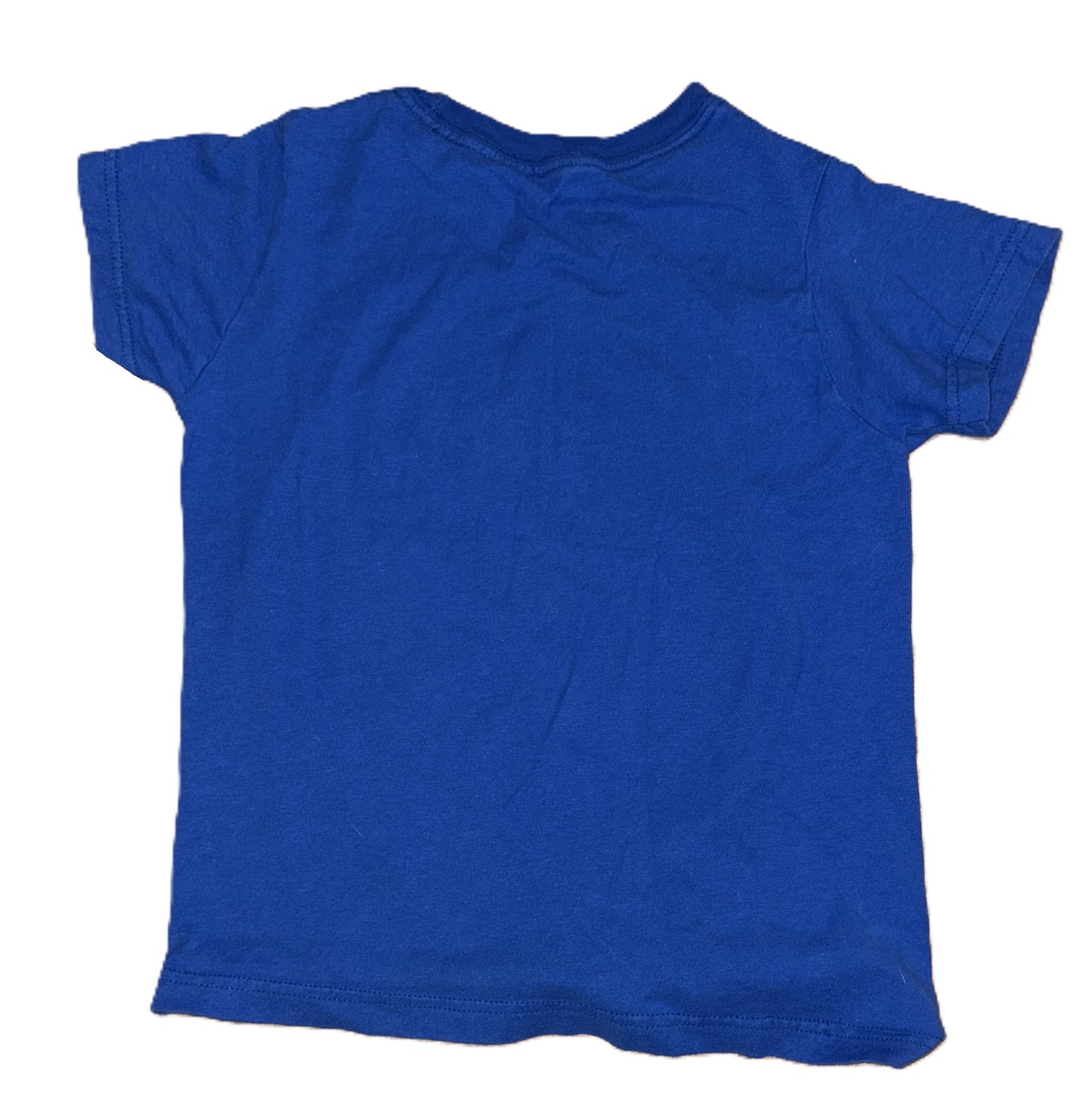 Sonic Shirt