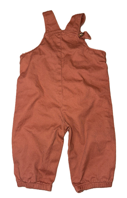 Carters Overalls
