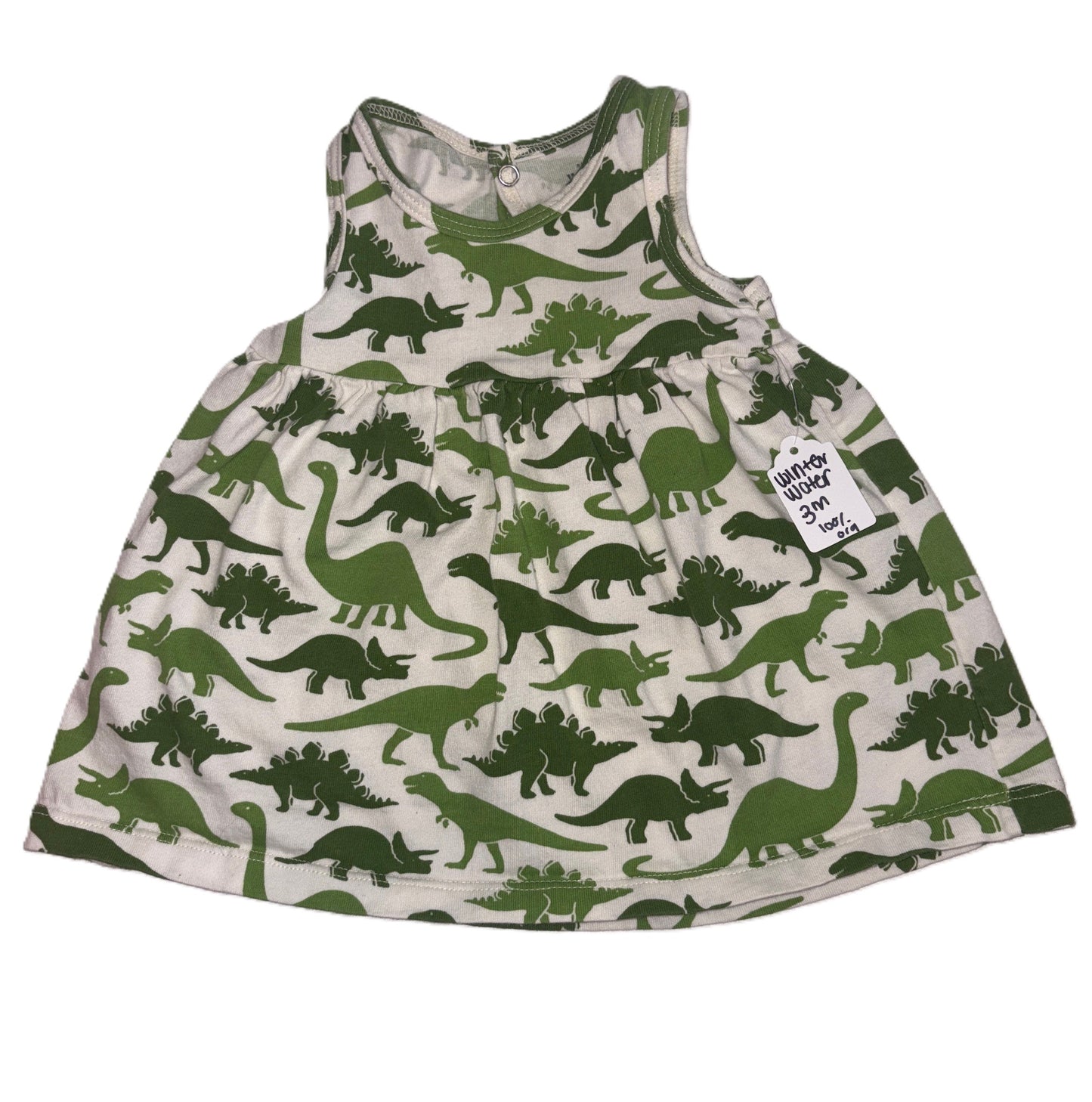 Winter Weather Dino Dress