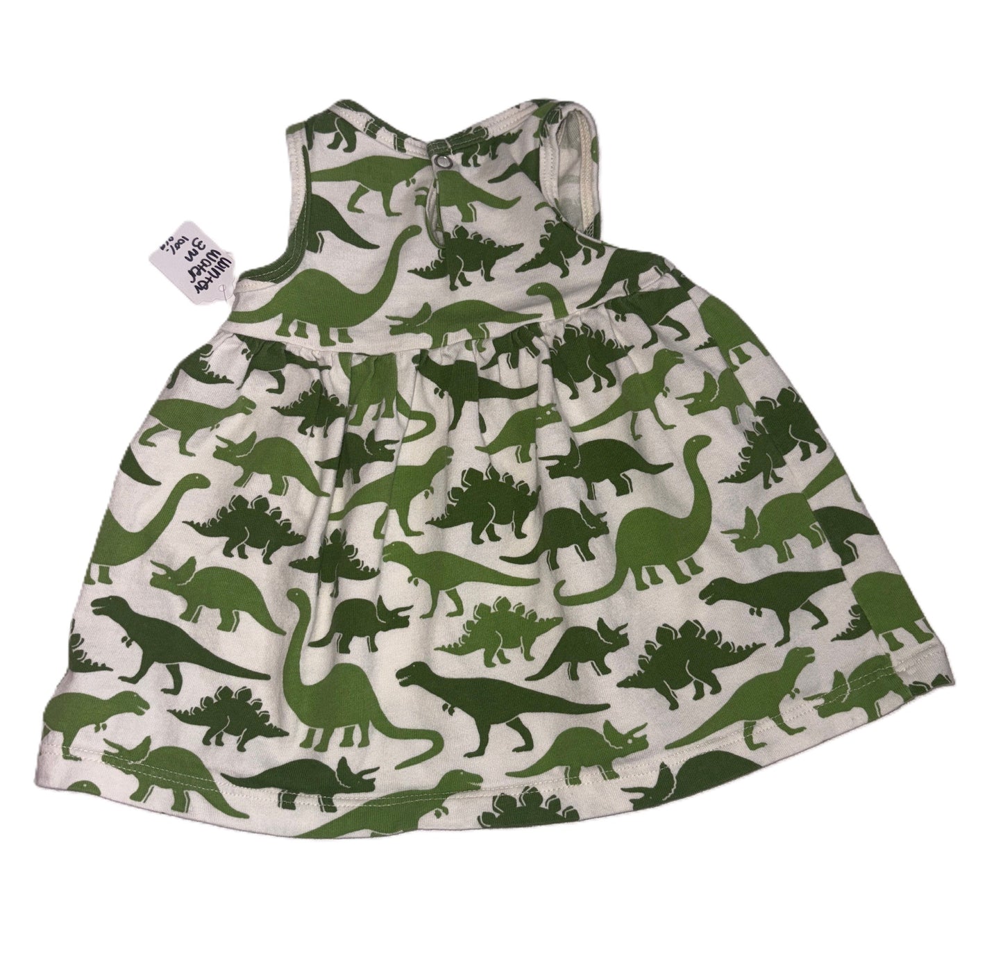 Winter Weather Dino Dress